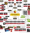 Choosing The Right Apple Infographic