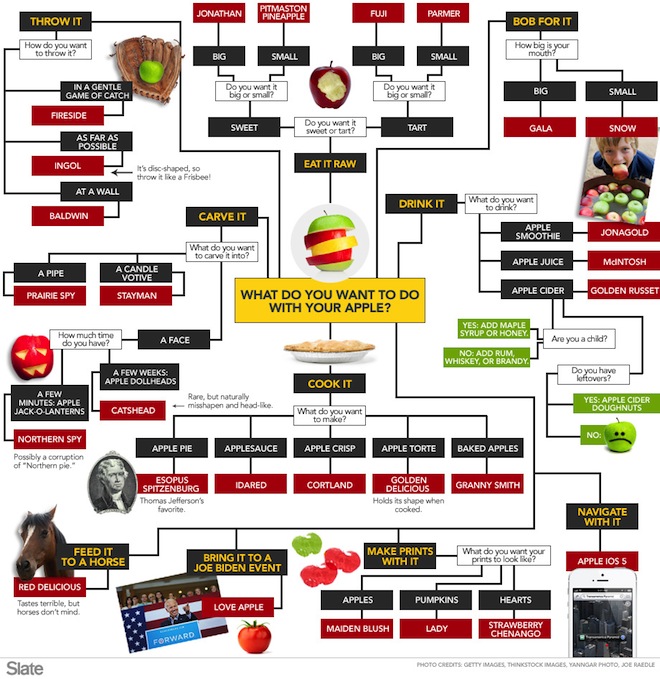 Choosing The Right Apple Infographic