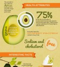 9 Facts About Avocados Infographic
