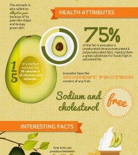 9 Facts About Avocados Infographic