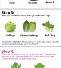 5 Steps To Green Juice Infographic