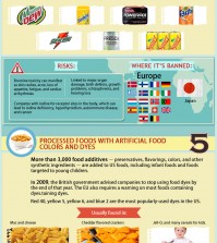 10 Banned Products You Should Remove From Your Diet Infographic