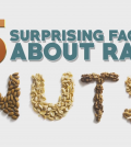 5 Facts You Need To Know About Raw Nuts Video