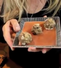 Treats With Benefits: Learn How To Make Raw Cookies Video