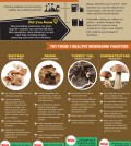 Mushrooms For Your Health: Benefits And Possible Pitfalls Infographic