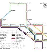 Aromatherapy Road Map Of Essential Oils Infographic