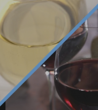Red Wine Or White Wine: Which Is Healthier? Video