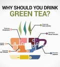6 Reasons To Make Yourself A Cup Of Green Tea Right Now Infographic