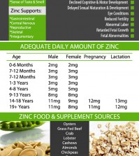 All About Zinc: Why This Mineral Is Important And How To Prevent Its Deficiency