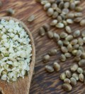Hemp Seeds: Learn Everything About This Superfood Video