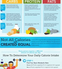 This Comprehensive Guide Explains Everything You Need To Know About Calories Infographic