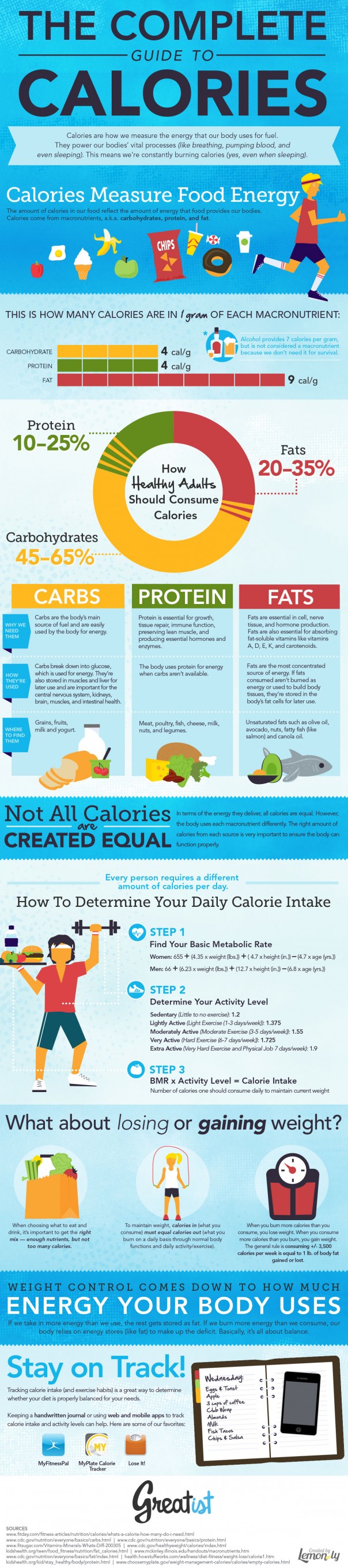 This Comprehensive Guide Explains Everything You Need To Know About Calories Infographic