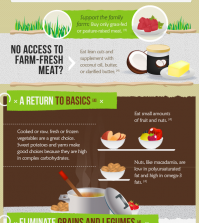 The Guide To Paleo Diet: What Is It And Why It’s Good For You Infographic
