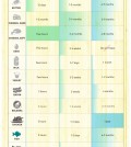 This Neat Chart Is Going To Save Your Food From Getting Spoiled Infographic