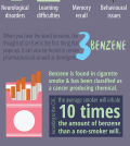 These Toxic Chemicals Can Be Dangerous For Your Brain Health Infographic