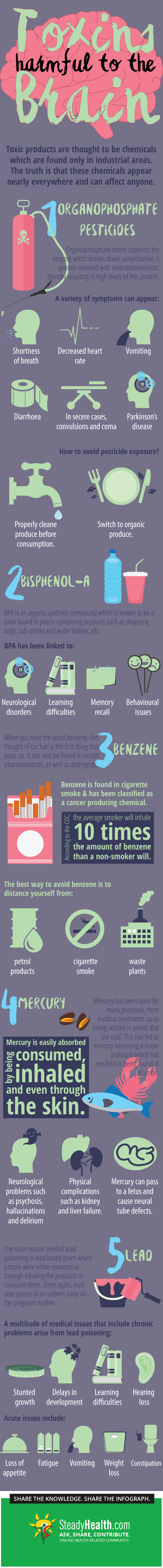These Toxic Chemicals Can Be Dangerous For Your Brain Health Infographic