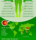 Surprising Facts About Tea And It’s Amazing Health Benefits Infographic