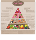 The Ultimate Brain Food Pyramid For Super Effective Thinking Infographic