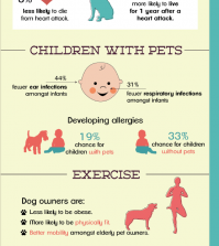 Amazing Health Benefits Of Being A Pet Owner Infographic