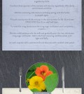 Learn How To Use Edible Flowers In Your Cooking Infographic