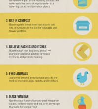 10 Cool Things You Can Do With Banana Peels Infographic