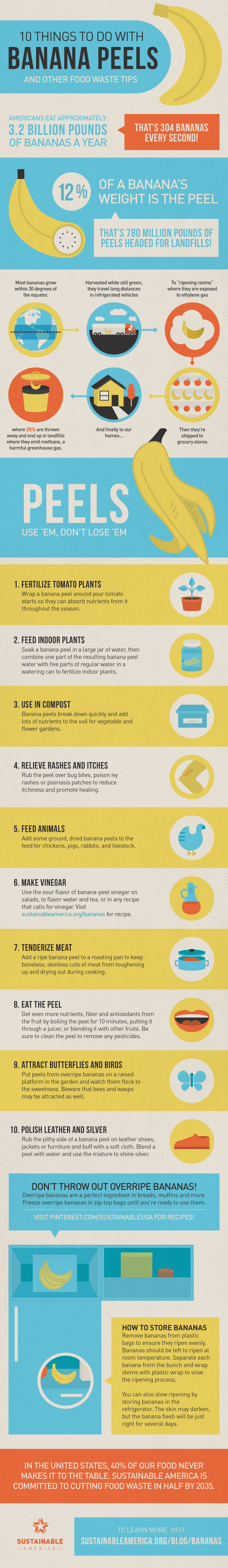 10 Cool Things You Can Do With Banana Peels Infographic