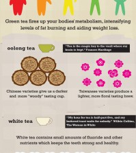 6 Types of Tea And Their Unique Benefits For Your Health Infographic