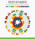 This Month-By-Month Guide Will Help You Buy Fruits In Season Infographic