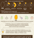 Potato: Nutritional Facts About The World's Tastiest Vegetable Infographic