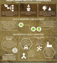 Learn More About Organic And GMO Food Infographic