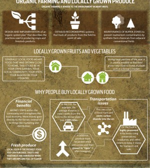 Learn More About Organic And GMO Food Infographic