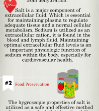 Surprising Truth About Salt Infographic