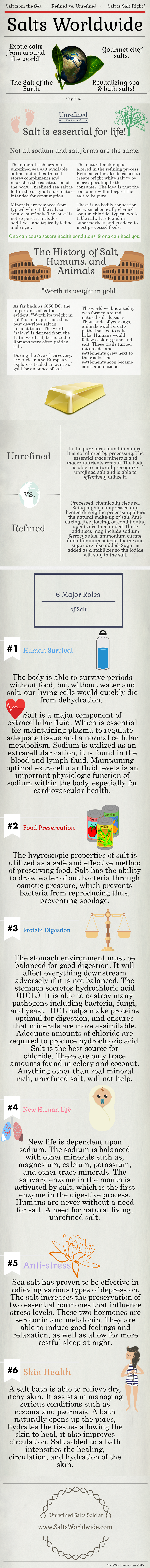 Surprising Truth About Salt Infographic