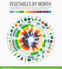 Buy The Freshest Vegetables All Year Round With This Illustrated Guide Infographic