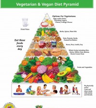 The Pyramid Of A Healthy Vegetarian & Vegan Diet Infographic