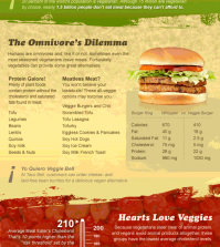 Interesting Facts And Numbers About Vegetarian Diet Infographic