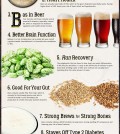 10 Surprising Health Benefits Of Drinking Beer Infographic
