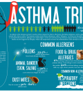 Asthma Triggers You Need To Be Aware Of Infographic