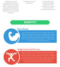 Why Whey Powder Is The Best Protein Supplement Infographic