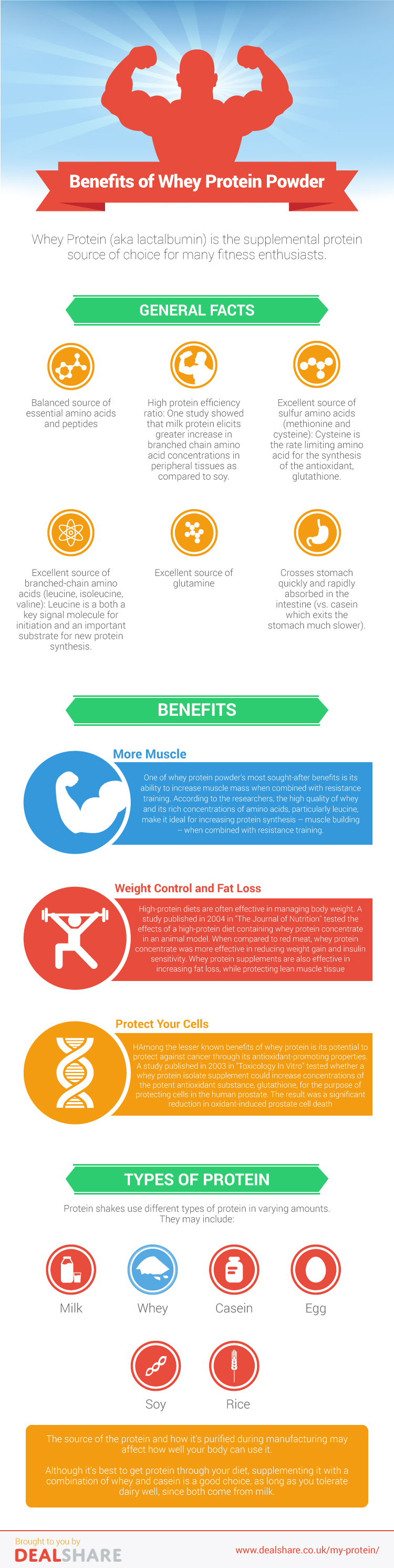 Why Whey Powder Is The Best Protein Supplement Infographic