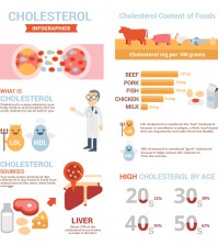 Is Cholesterol Good Or Bad For Your Health? Infographic