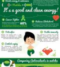 Astounding Health Benefits Of Matcha Green Tea Infographic