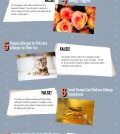 Top 10 Allergy Myths You Probably Still Believe Infographic