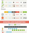 14 Best Edible Plants To Grow Indoors Infographic