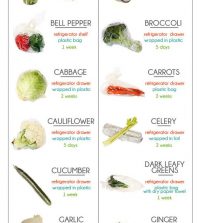 Handy Instructions To Storing Your Groceries Infographic