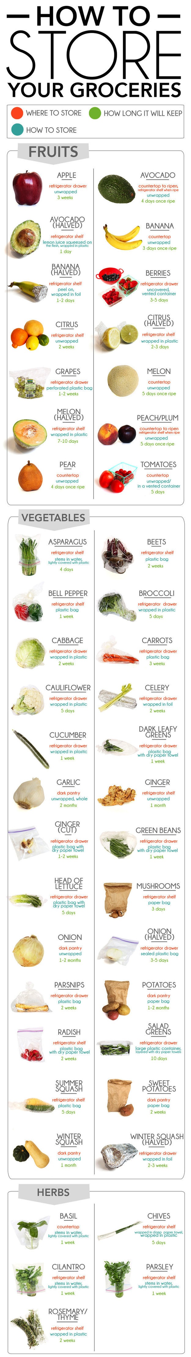 Handy Instructions To Storing Your Groceries Infographic