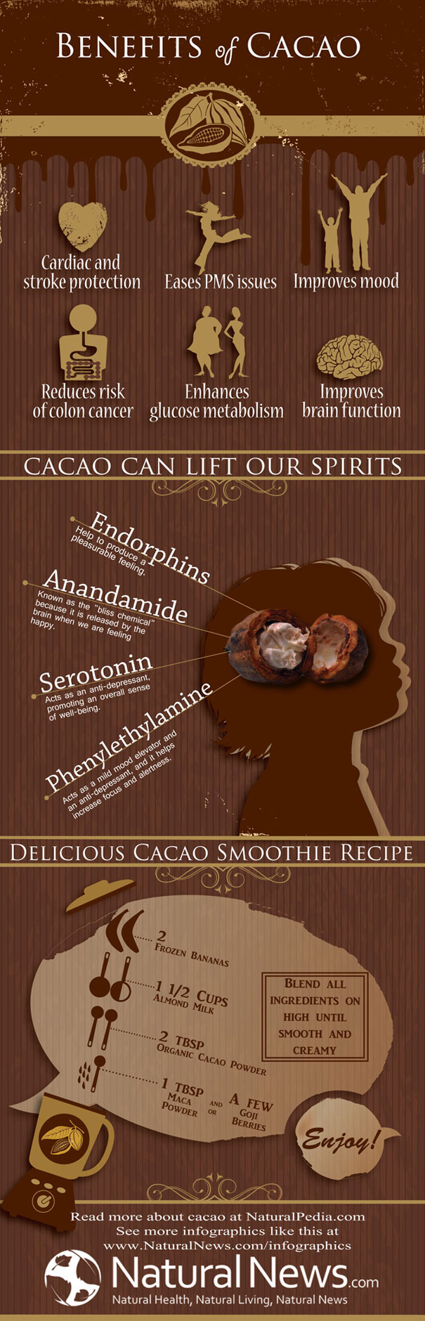 Numerous Health Benefits Of Cacao (Not To Be Confused With Cocoa) Infographic