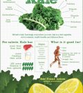 Why We All Should Hail Kale Infographic