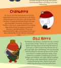 The Best Superfood Berries For Your Health Infographic