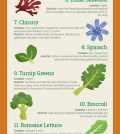 17 Superfoods For Relieving Stress And Lifting Your Mood Infographic